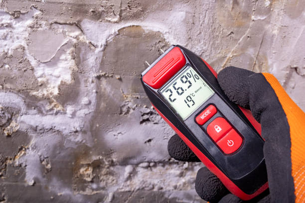 Best Professional Mold Removal  in Brookville, OH